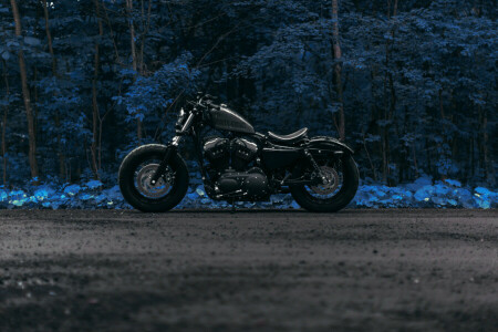 bosque, Harley cuarenta y ocho, la carretera