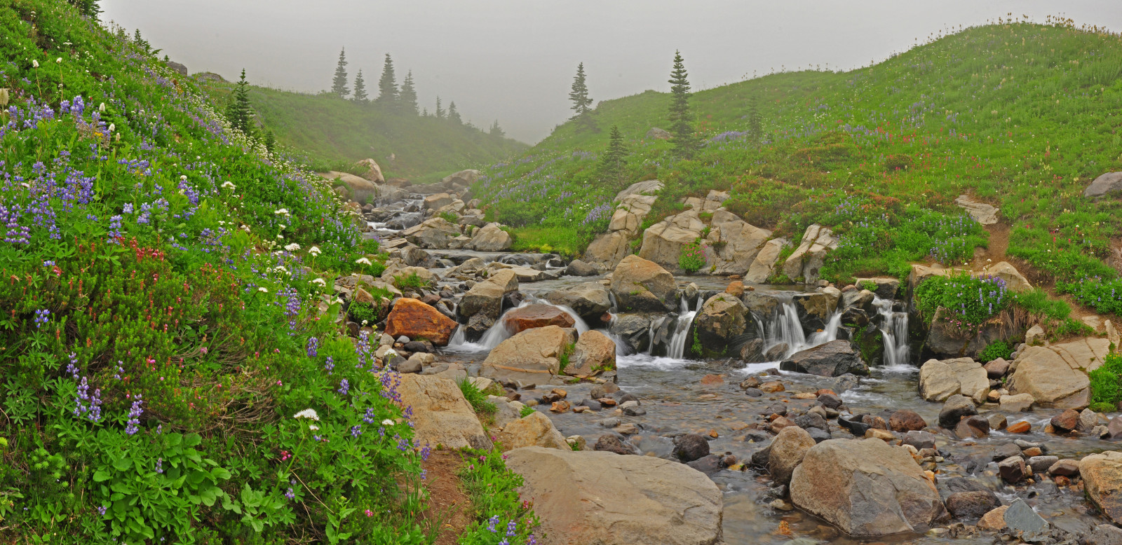 grass, the sky, river, stones, flowers, clouds, mountains, fog