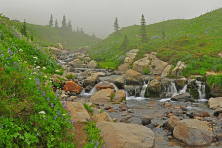 clouds, flowers, fog, grass, mountains, river, slope, stones