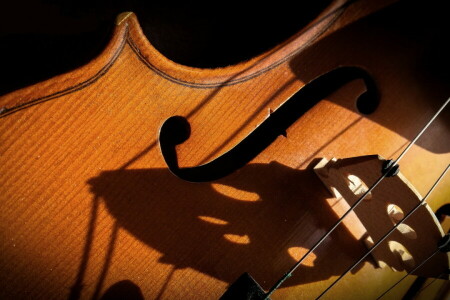 macro, La musique, violon