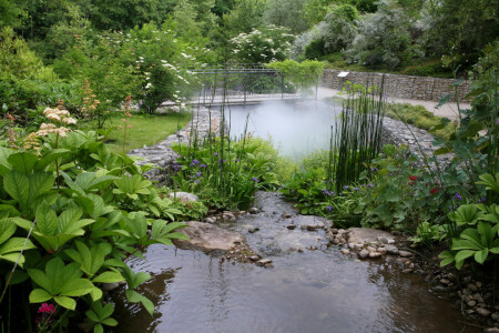 fiori, erba, parte, schizzare, il ponte, i cespugli, alberi