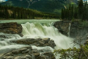 Albert, Alberta, Rivière Athabasca, Canada, forêt, Jaspe, Parc national Jasper, rivière