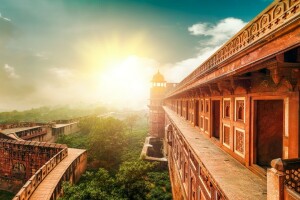 India, temple, trees