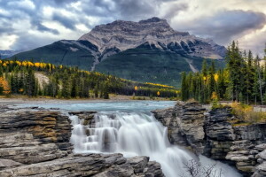 Alberta, Athabasca River, höst, kanada