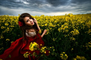 cheveux bruns, aux yeux bruns, des nuages, champ, fleurs, fille, sourire