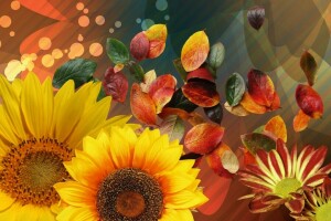 herfst, collage, bloemen, bladeren