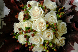 bouquet, fleurs, photo, des roses, blanc