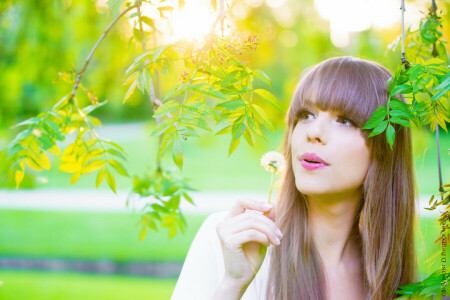 dandelion, girl, greens, leaves