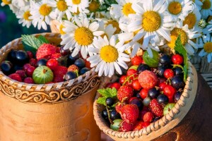 baies, camomille, fleurs, Le ciel