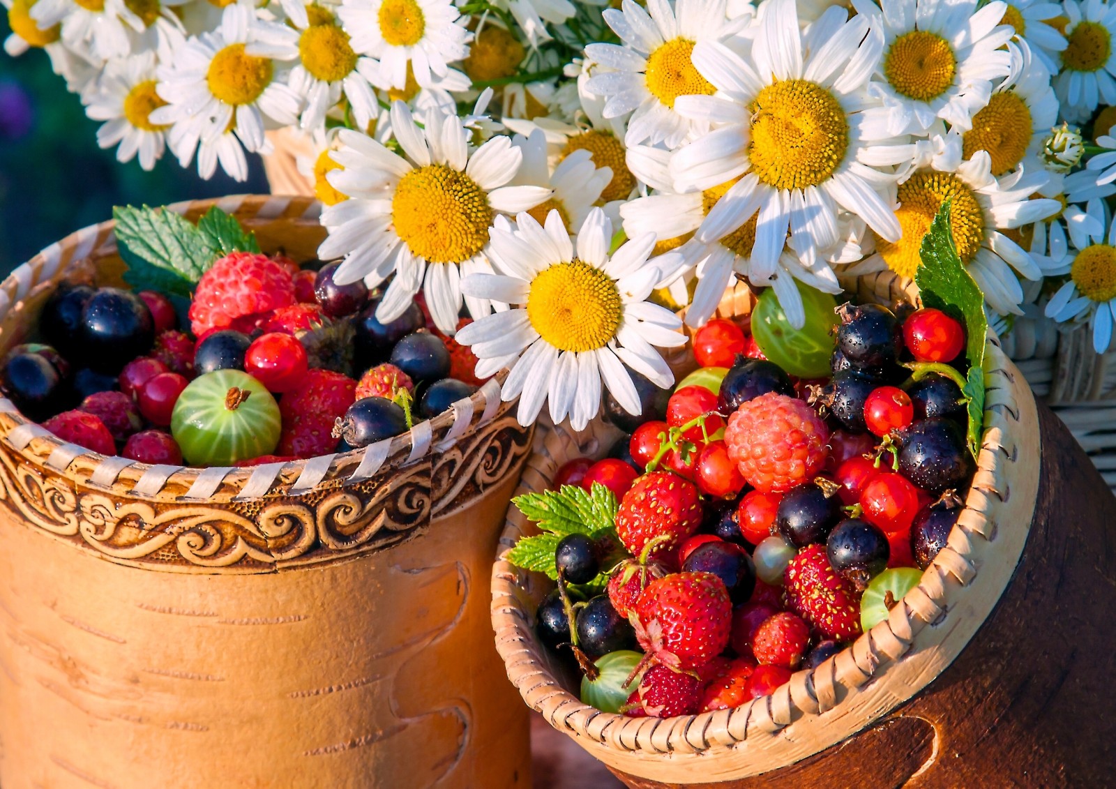 Blumen, Beeren, Kamille, der Himmel