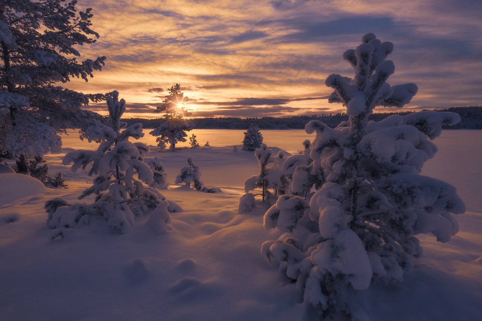 neve, tramonto, inverno, alberi, Norvegia, la neve