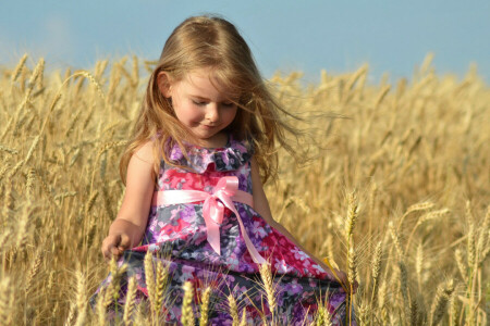 baby, bow, dress, field, girl, little