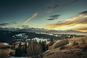 bosque, paisaje, montañas, nieve, primavera