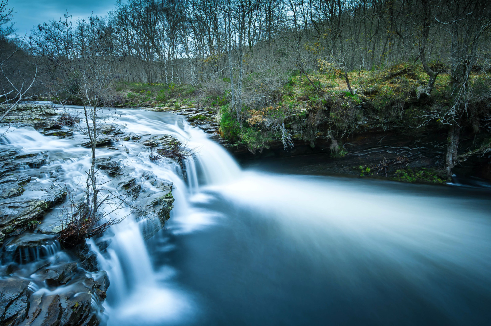 forêt, rivière, des arbres, rochers, courant, seuils