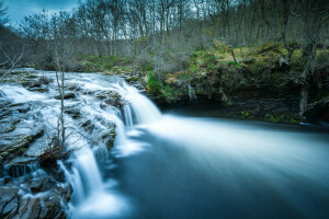 Woud, rivier-, rotsen, stroom, drempels, bomen