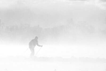 brouillard, gens, hiver