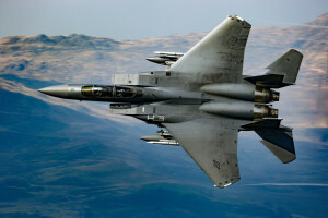 Aquila, F-15, Combattente