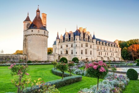 castle, Garden, lawn, Palace, Park, vintage