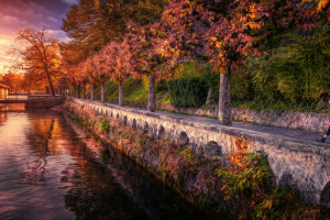 ruelle, rivière, Promenade au coucher du soleil, traitement, des arbres