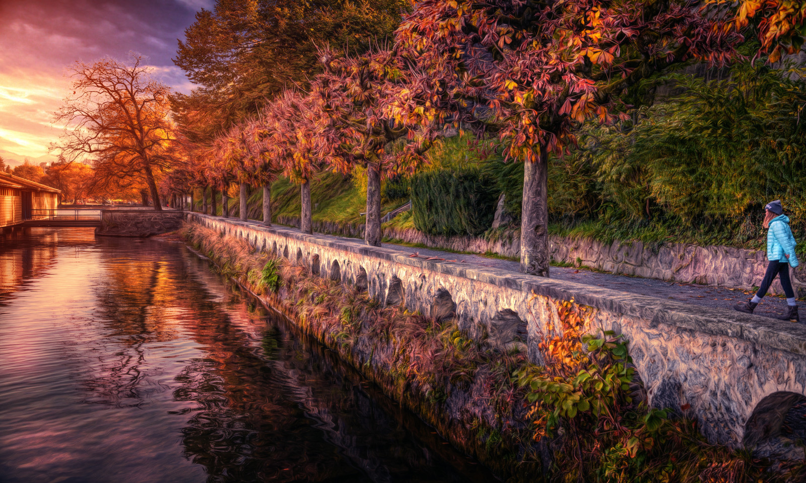 river, trees, treatment, alley, Sunset walk