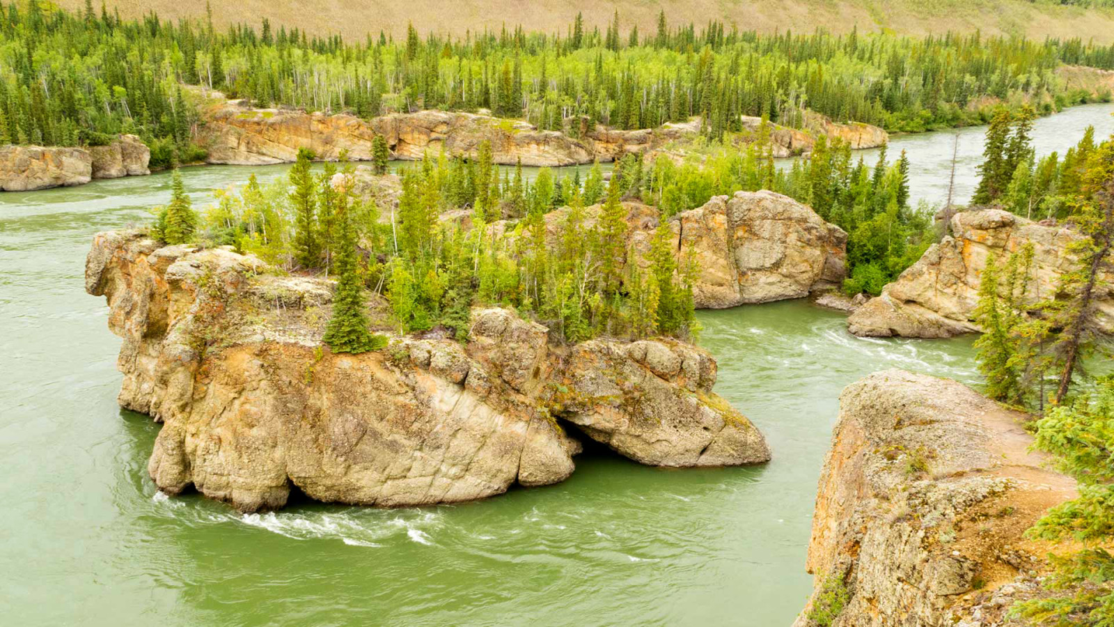 les, řeka, stromy, Kanada, skály, Yukonské území, Pět prstů peřeje, Treacherous Rock Islands