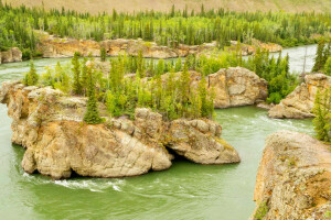 Canada, Five Finger Rapids, forêt, Karmaks, rivière, rochers, Îles rocheuses perfides, des arbres