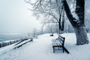 panchina, natura, foto, neve, il tronco dell'albero, inverno