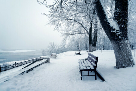 Banco, natureza, foto, neve, o tronco da árvore, inverno