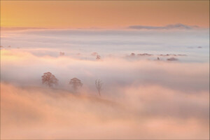 niebla, colinas, Mañana, el cielo, arboles