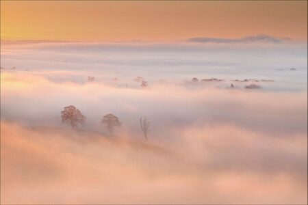 fog, hills, morning, the sky, trees