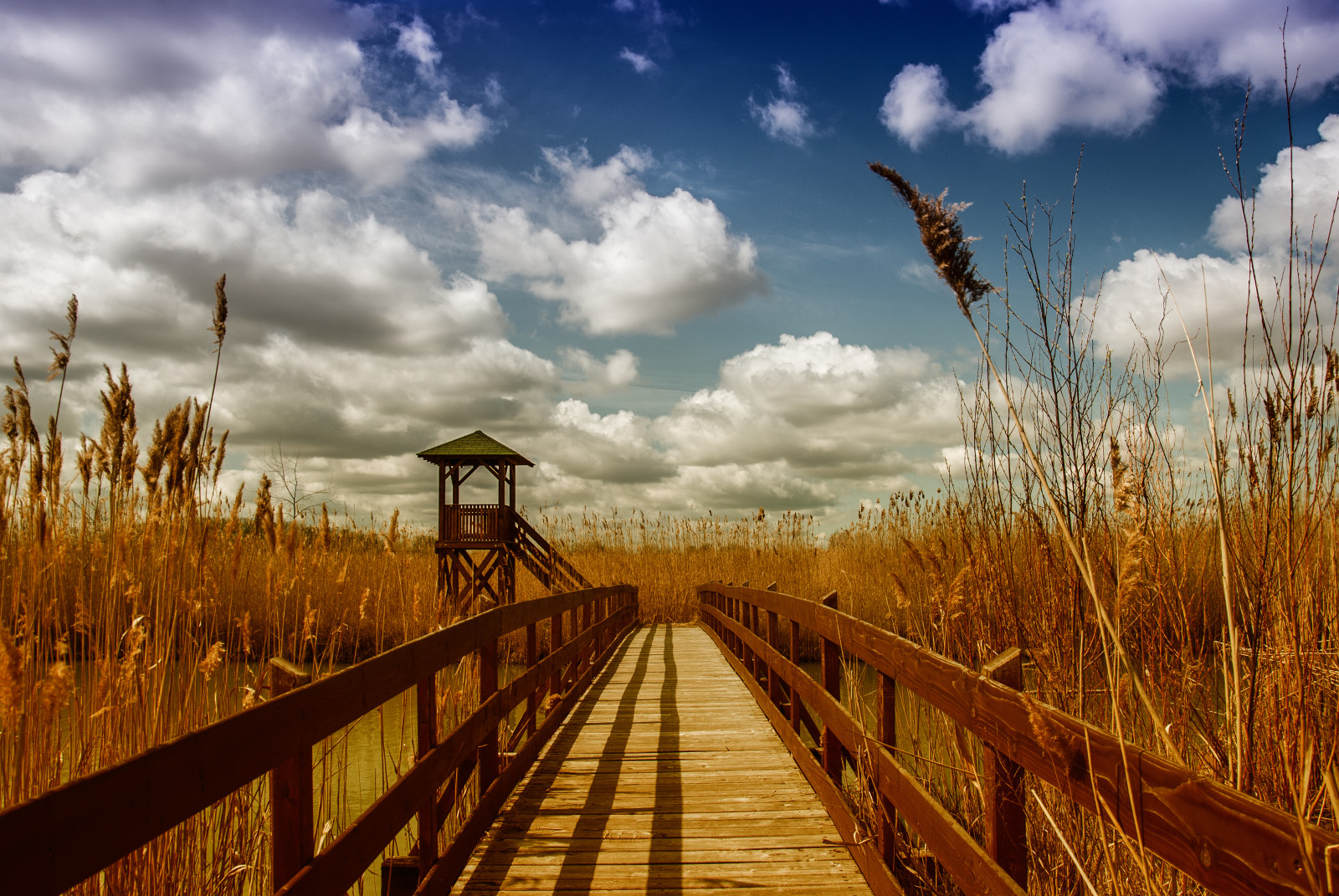 der Himmel, Fluss, Frühling, Wolken, Brücke, Pavillon, Ohren