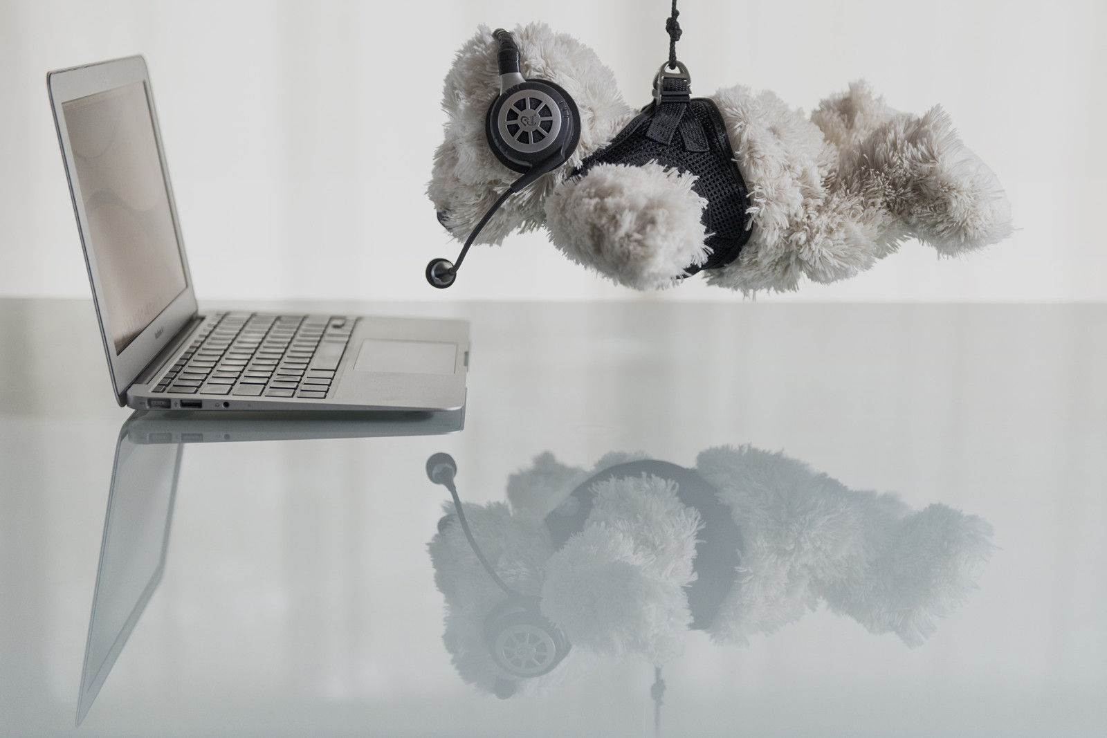 reflection, table, laptop, bear, toy, Hanging