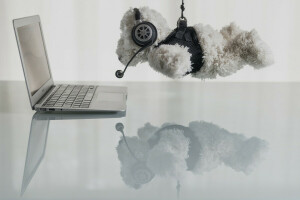 bear, Hanging, laptop, reflection, table, toy