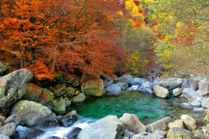 autumn, forest, lake, stones, trees