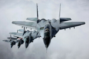 Combattant, MiG-29, Polyvalent, Le MiG-29