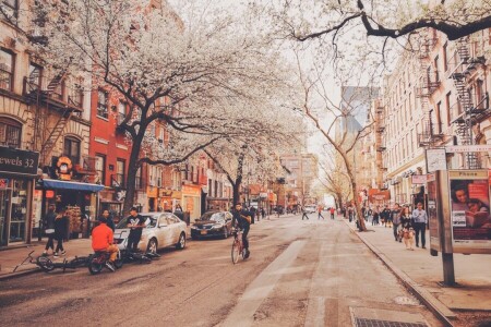 Fahrrad, Bushaltestelle, Leben, Neon-, New York, Menschen, Shops, Straße