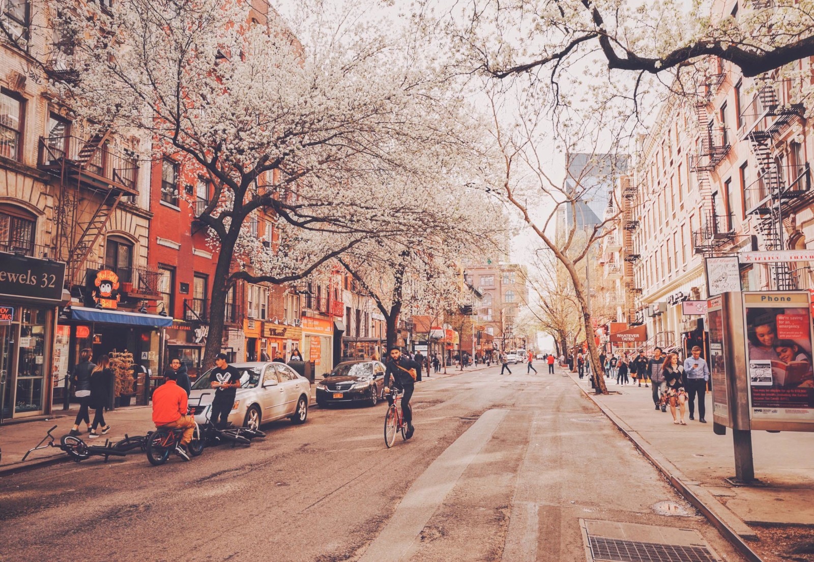 pouličné, stromy, život, ľudia, bicykel, neon, New York, predajne