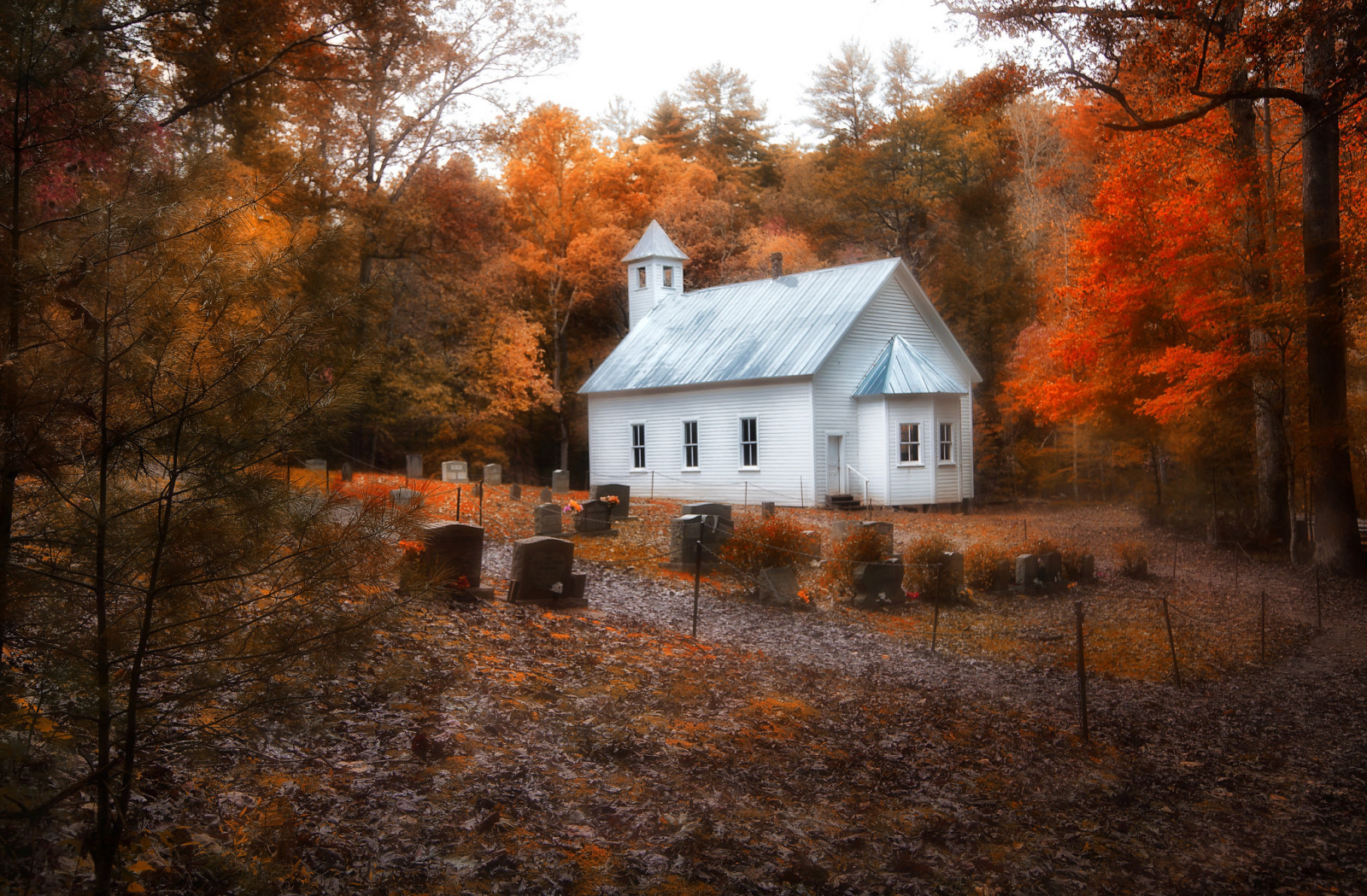 forêt, temple, cimetière