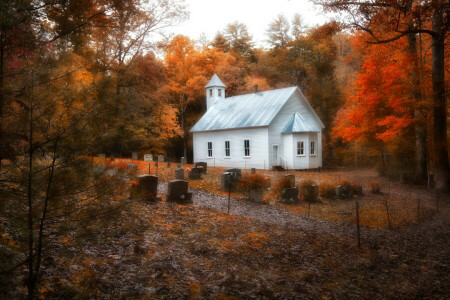 кладбище, лес, храм