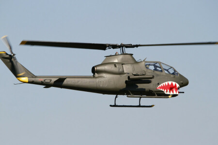 bell, Cobra, flight, helicopter, TAH-1P