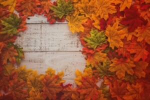 autumn, background, Board, colorful, leaves, maple, tree, wood