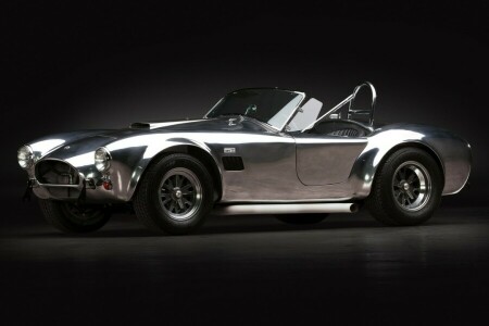 2011, 289, AC-auto's, Cobra, doorwaadbare plaats, Shelby, USRRC