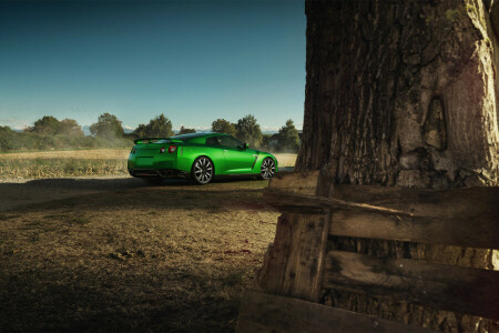 BEAUTY, car, green, GT-R, nature, Nissan, Rear, sport