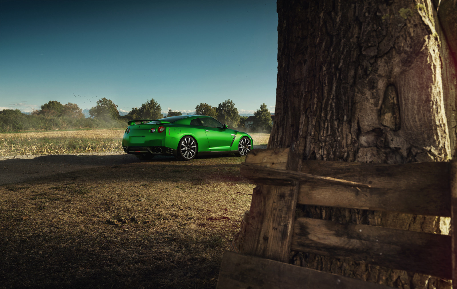 natureza, BELEZA, carro, Nissan, GT-R, verde, esporte, Traseira