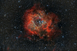 i stjernebildet, nebula, NGC 2237, stikkontakt, Rosette, Enhjørning