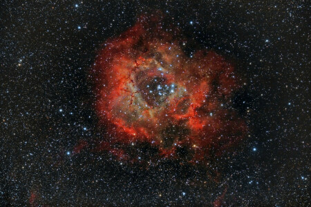 in der Konstellation, Nebel, NGC 2237, Auslauf, Rosette, Einhorn