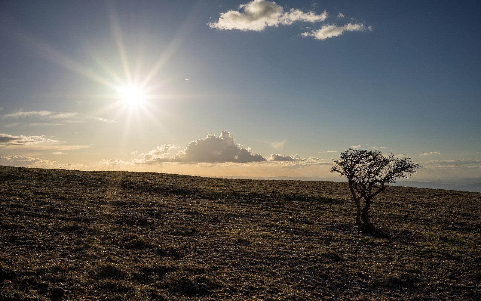 la nature, Le ciel, paysage, Matin