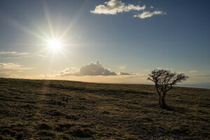 landskab, morgen, natur, himlen