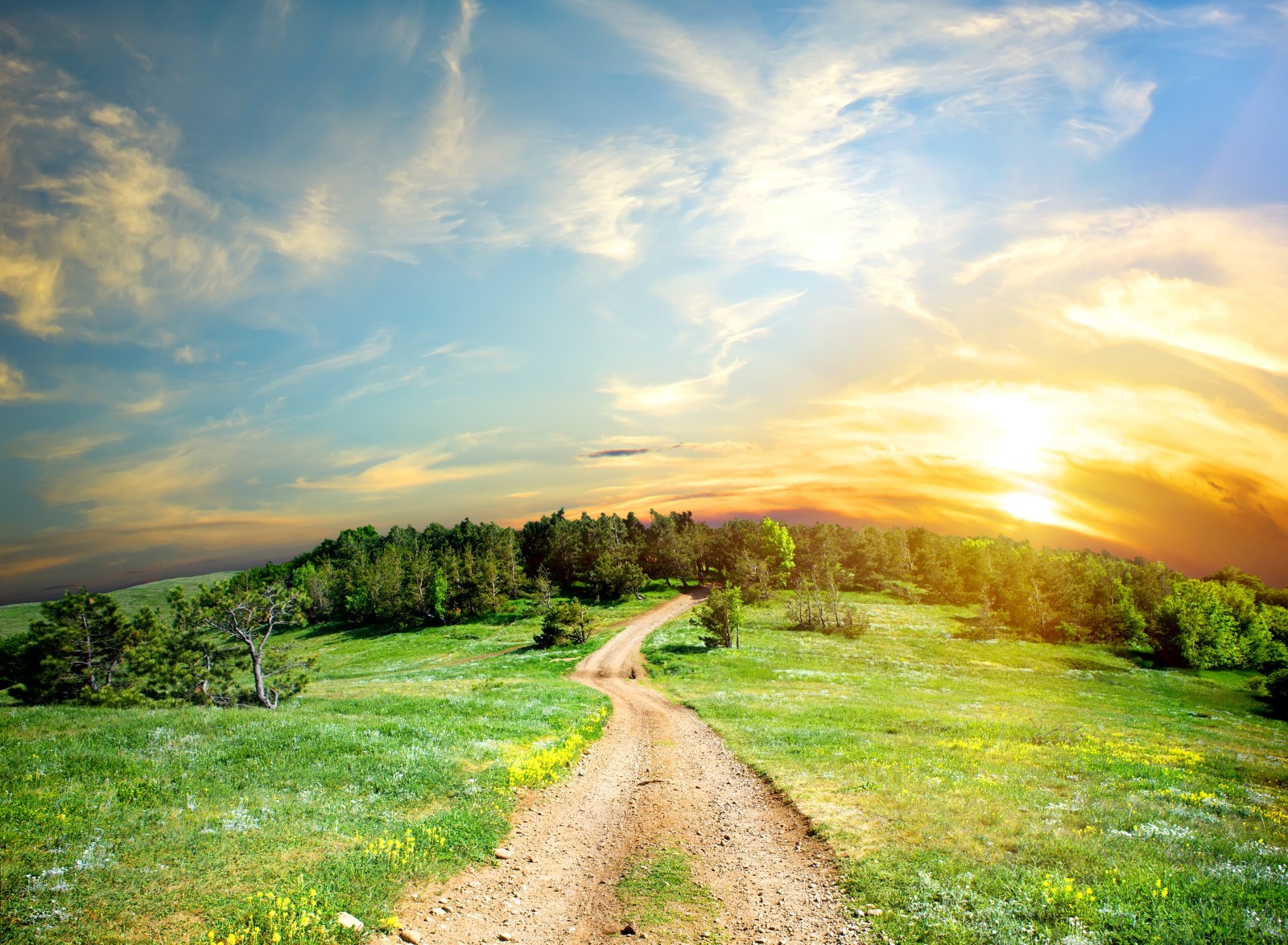 la carretera, arboles, nubes, el sol