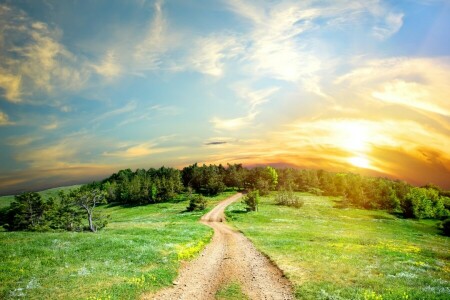 des nuages, route, le soleil, des arbres